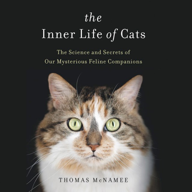 The Inner Life of Cats