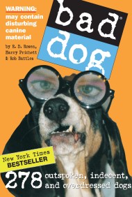 Bad Dog