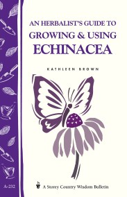 An Herbalist's Guide to Growing & Using Echinacea