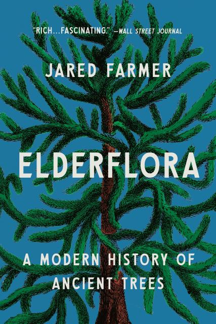 Elderflora