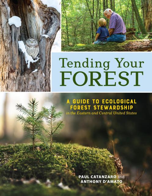 Tending Your Forest