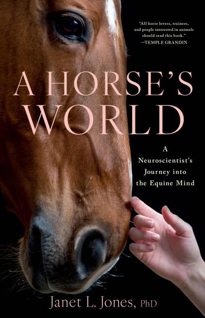 A Horse’s World