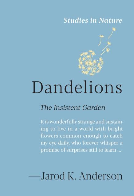 Dandelions