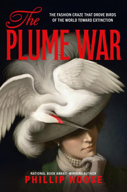 The Plume War
