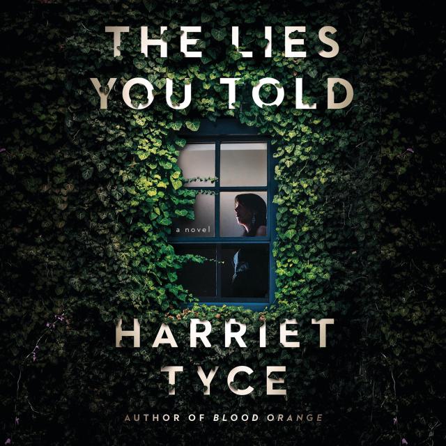 The Lies You Told